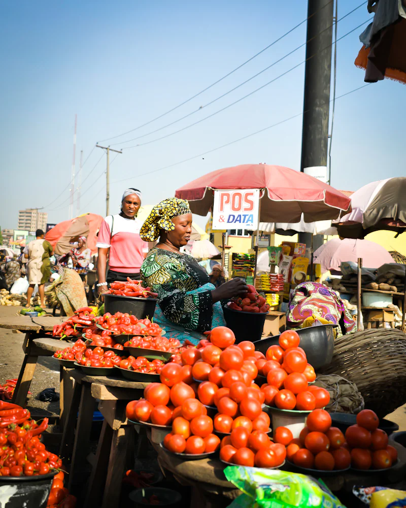 Un étal de marché chargé de tomates